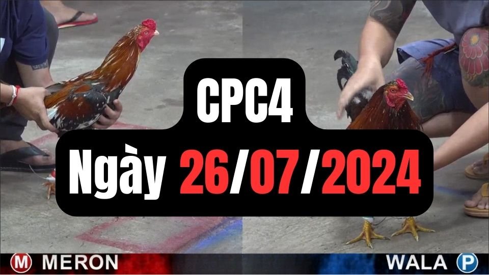 Đá gà thomo CPC4 ngày 26/07/2024